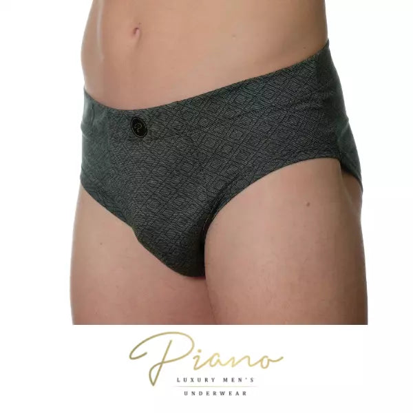 The President - briefs