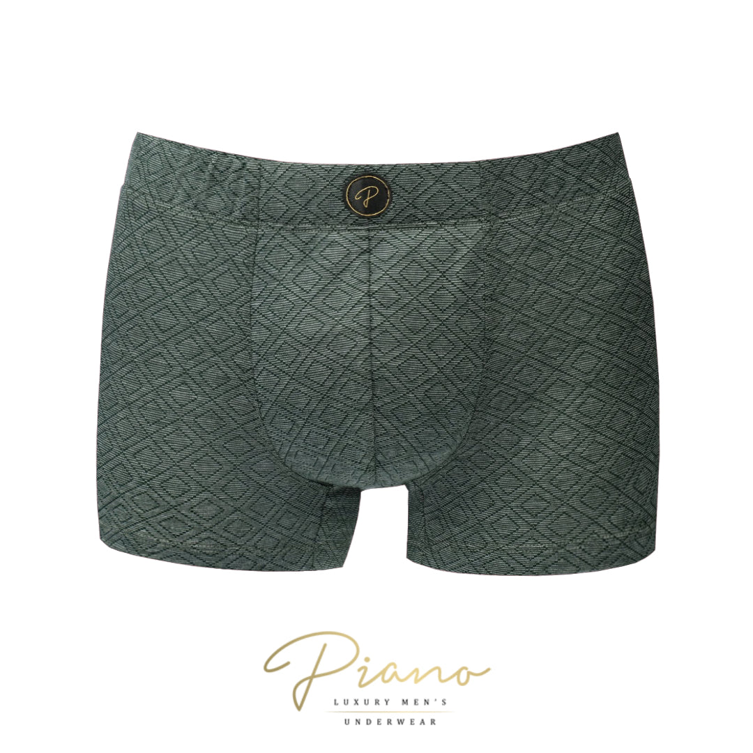 The President - boxer briefs