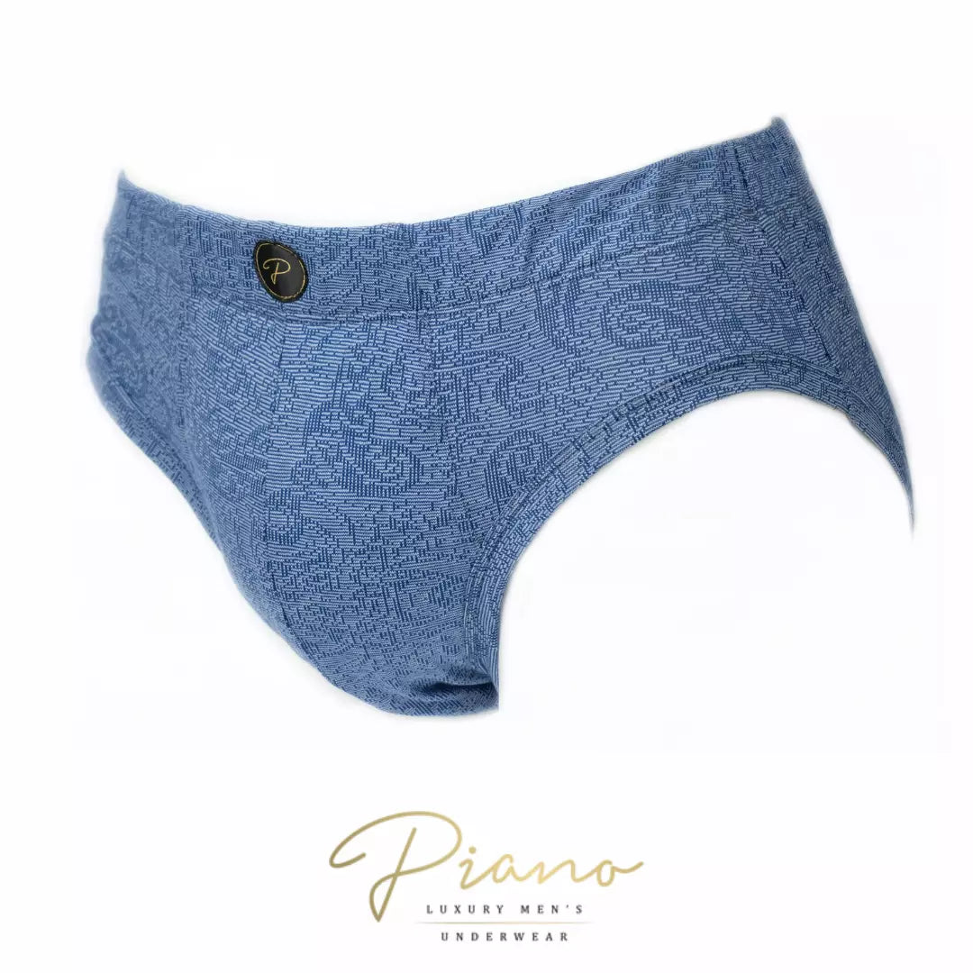 The Judge - briefs