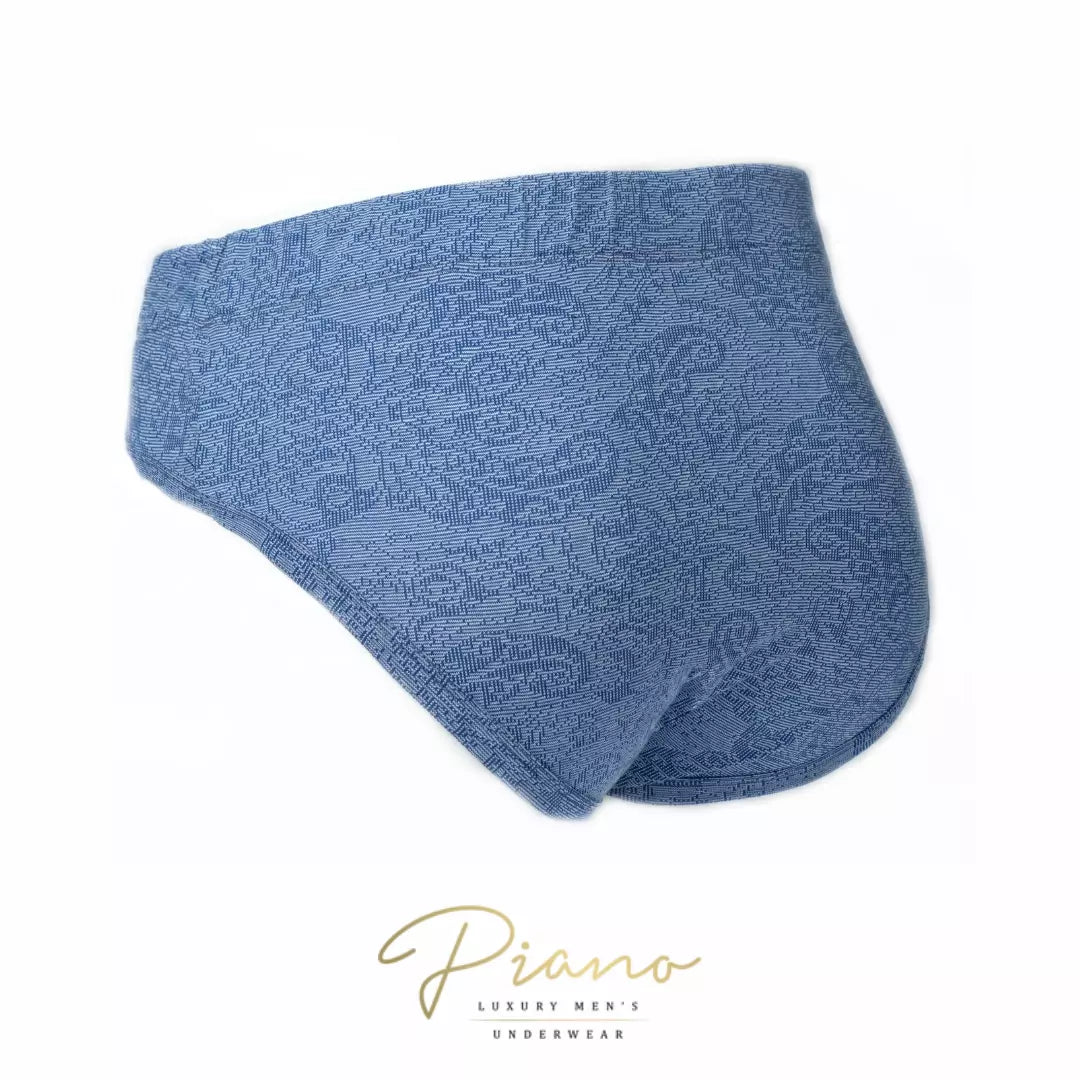 The Judge - briefs