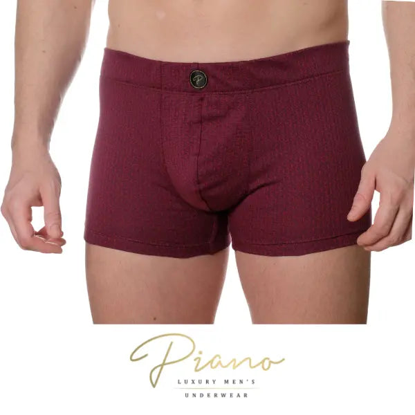 elegant men's underwear, boxer briefs