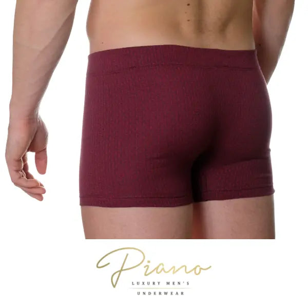 elegant men's underwear, boxer briefs